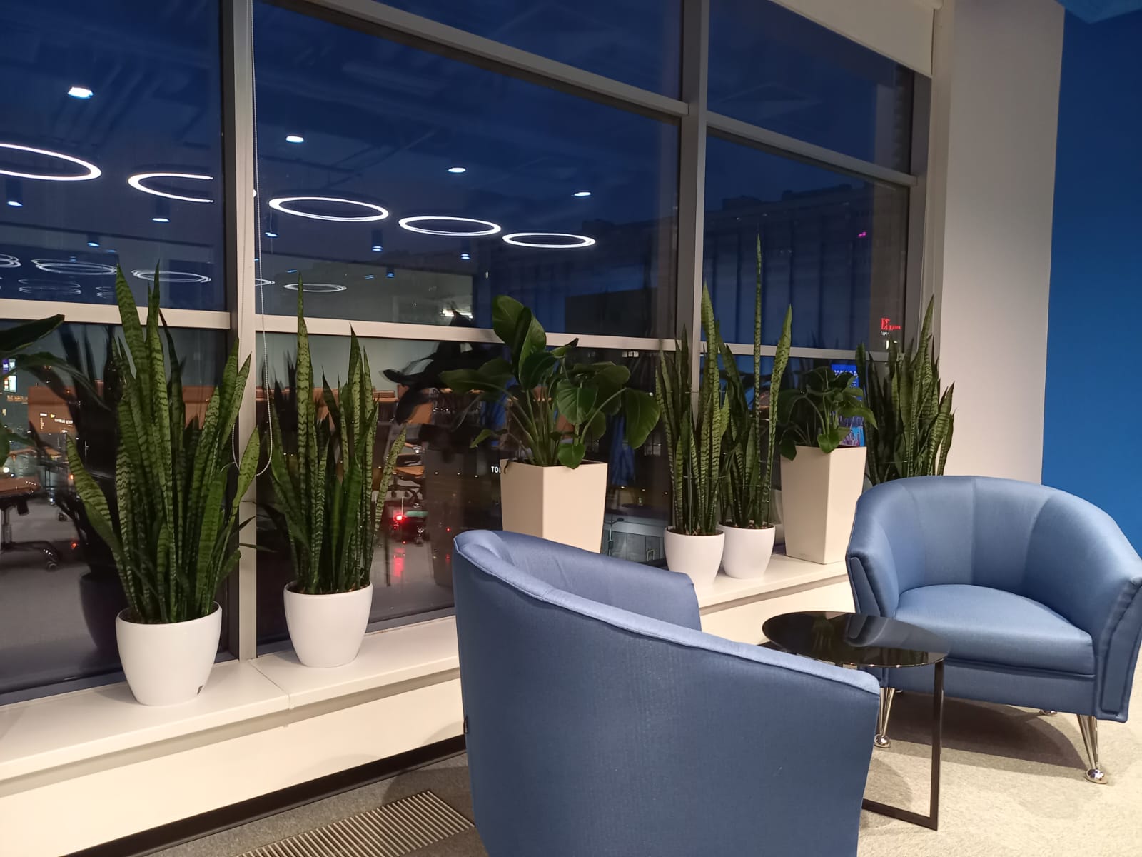 WhatsApp Image 2025-03-21 at 13.52.14