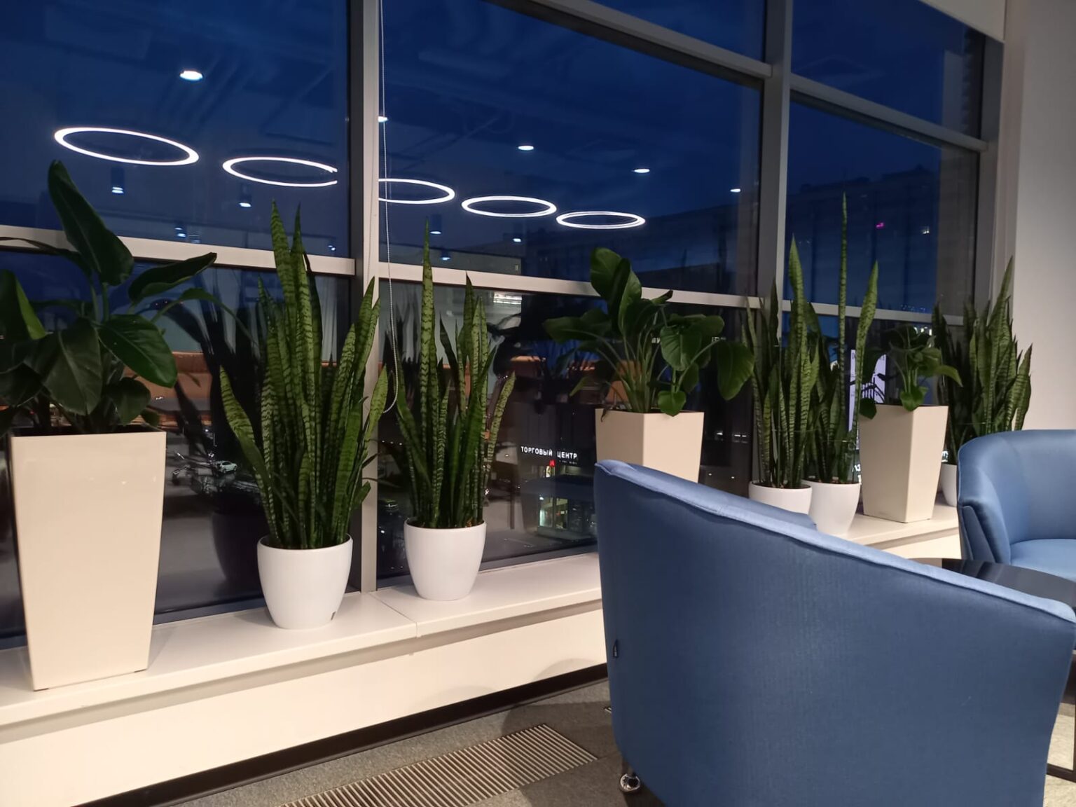 Озеленение офисов