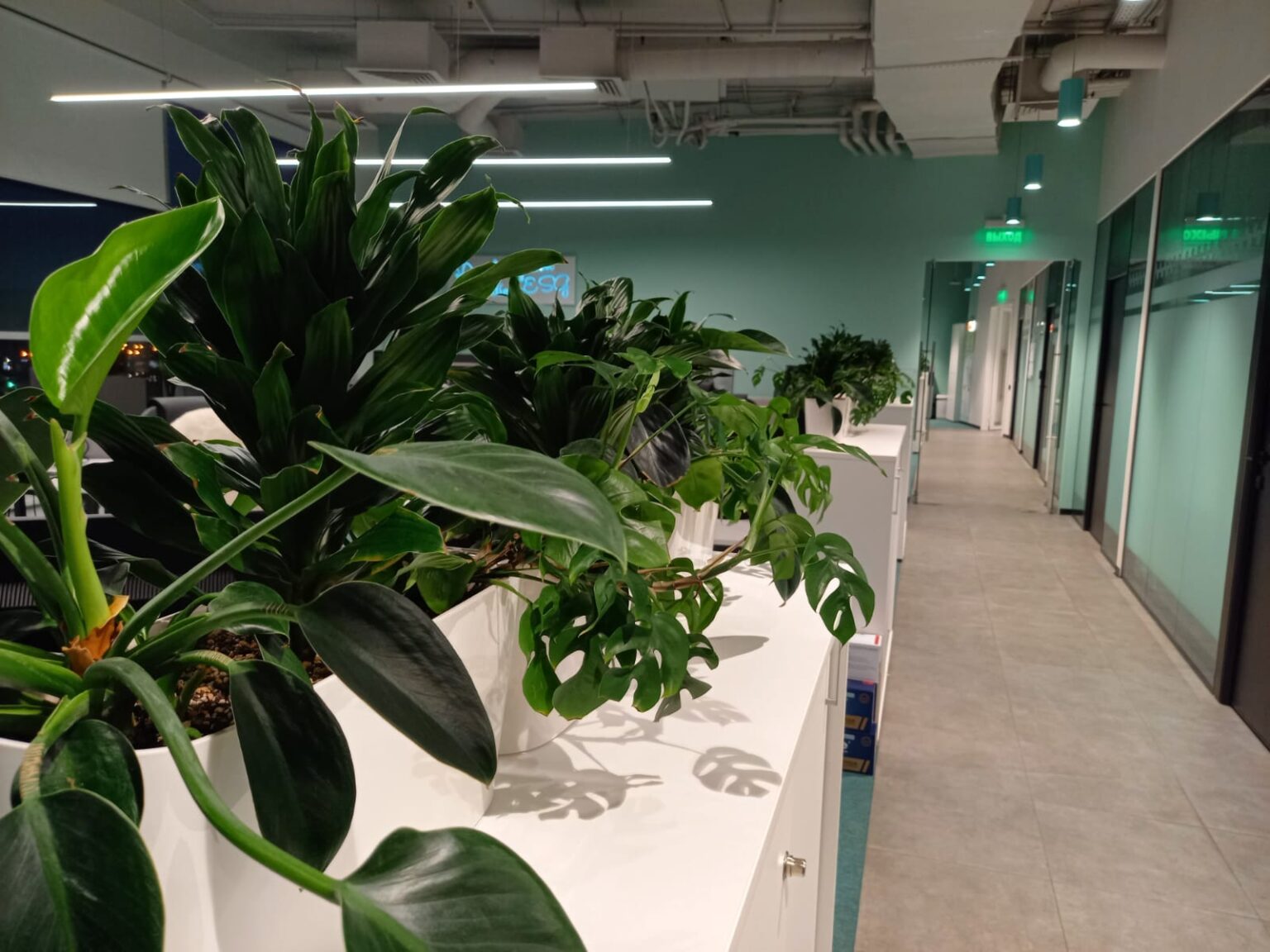 Озеленение офисов
