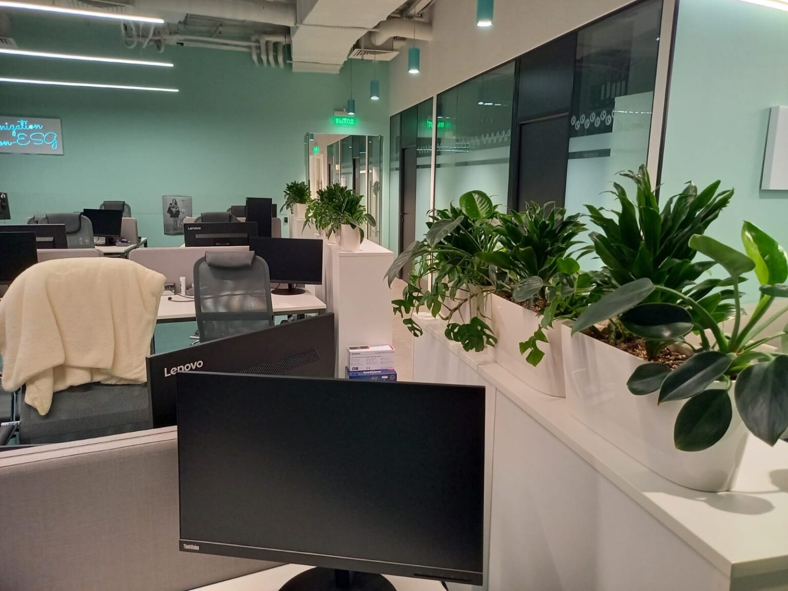 Озеленение офисов