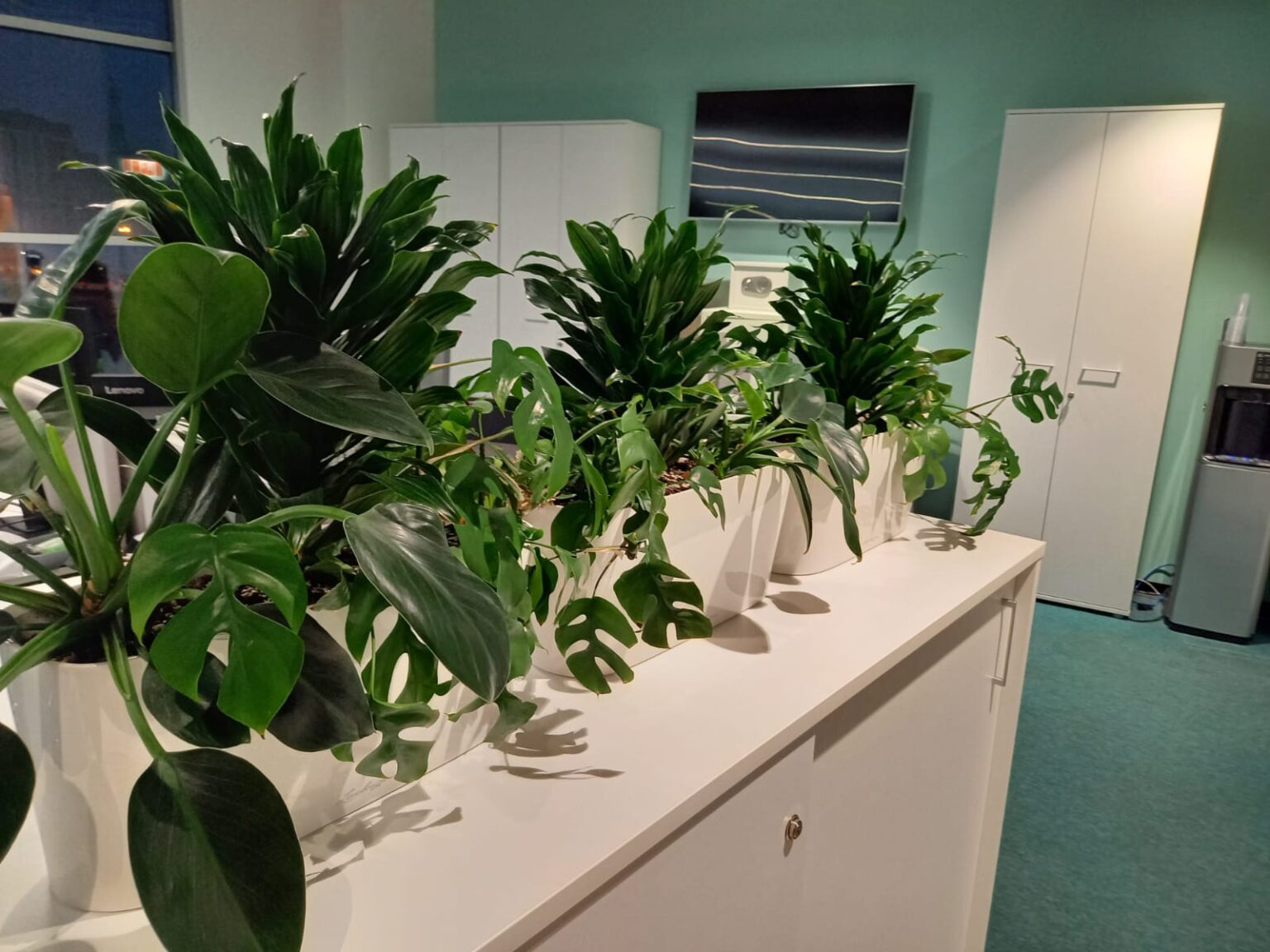 Озеленение офисов
