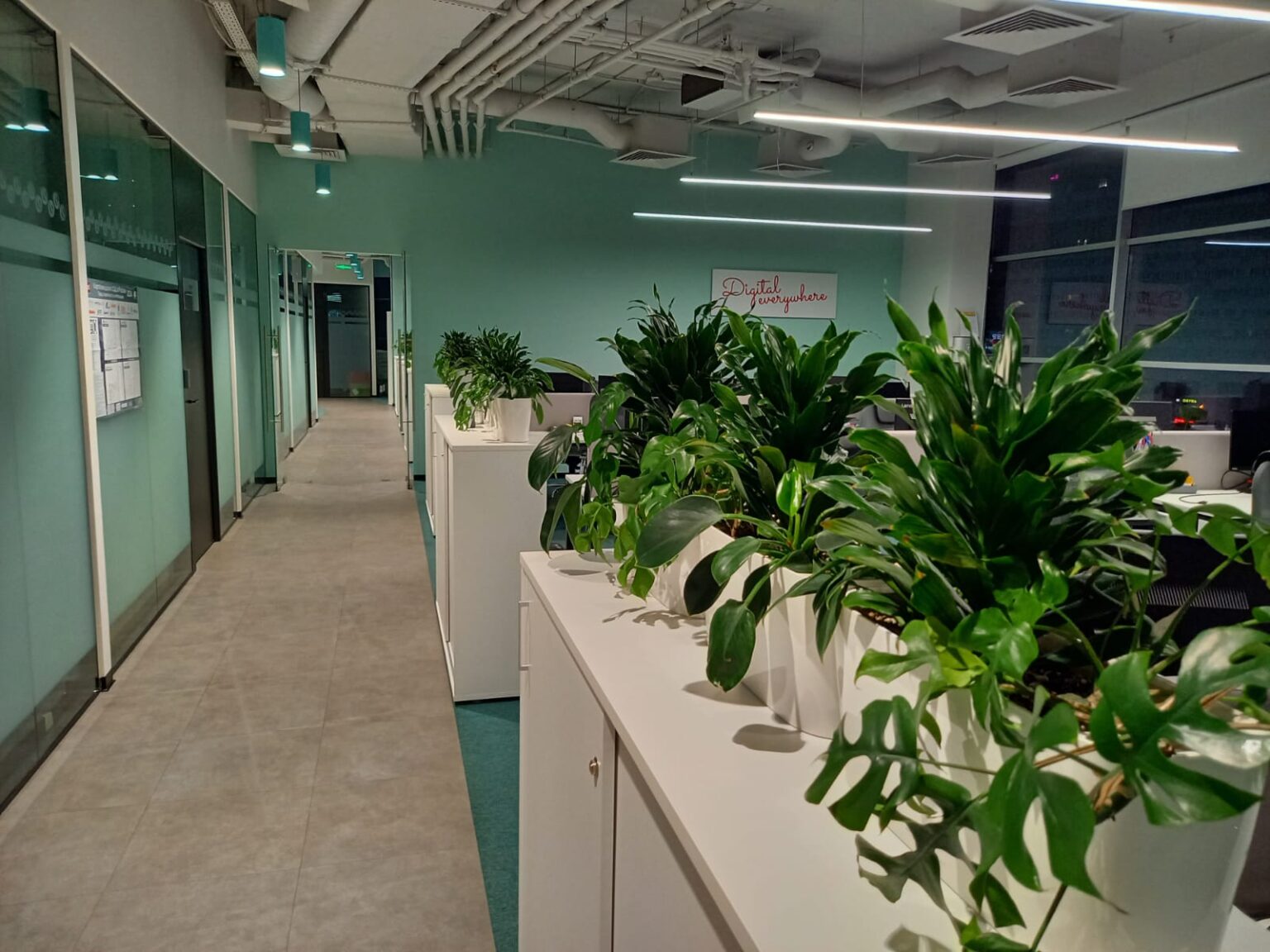 Озеленение офисов