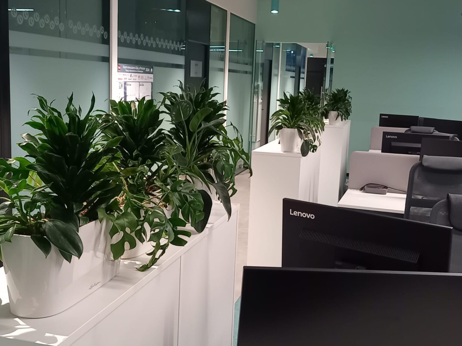 Озеленение офисов