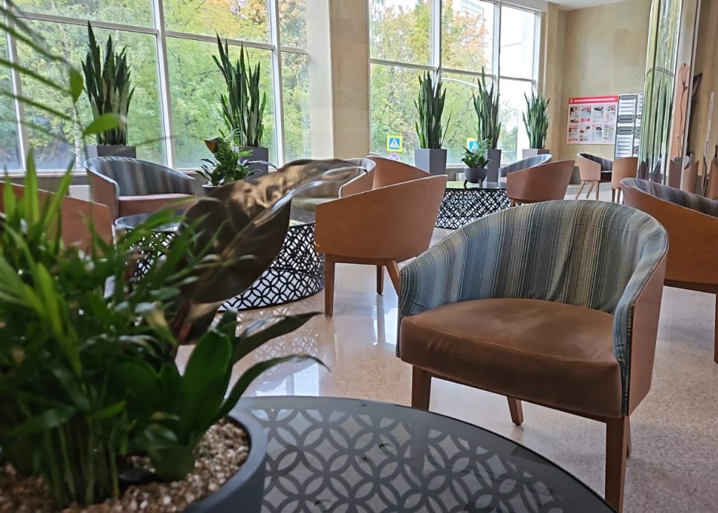 Озеленение общественных пространств