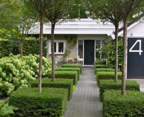 Ландшафтный дизайн