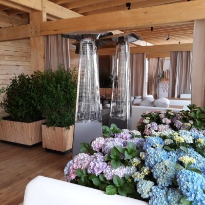 Озеленение ресторанов