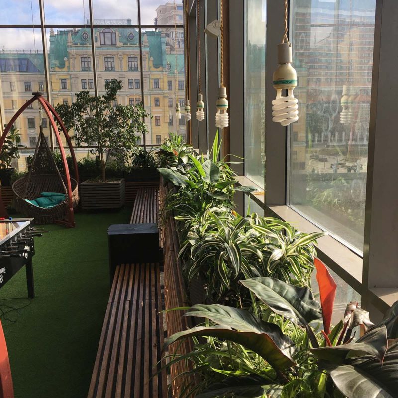 фитодизайн и озеленение помещений