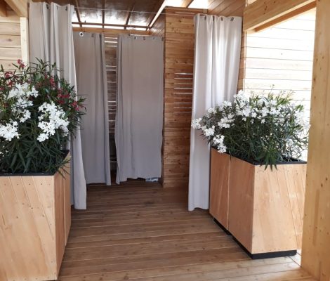 фитодизайн и озеленение помещений